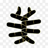 ��ָ-������