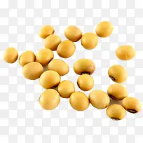 黄豆实物摄影-空若网 黄豆实物摄影-空若网