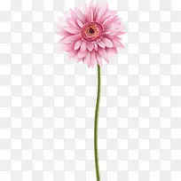 ˮ�ʻ��ʻ�ʸ��-������