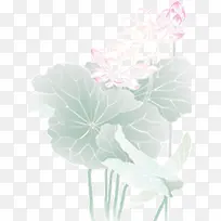 Ë®²Ê»ºÉ»¨-¿ÕÈôÍø Ë®²Ê»ºÉ»¨-¿ÕÈôÍø