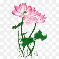 Ë®²Ê»×°ÊÎ-¿ÕÈôÍø Ë®²Ê»×°ÊÎ-¿ÕÈôÍø