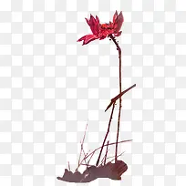 水彩荷花-空若网 水彩荷花-空若网