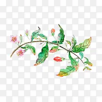 СÅóÓÑ»µÄË®²Ê»Ö²Îï°ô°ôßÕ-¿ÕÈôÍø СÅóÓÑ»µÄË®²Ê»Ö²Îï°ô°ôßÕ-¿ÕÈôÍø