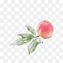 ÌÒ×Ó-¿ÕÈôÍø ÌÒ×Ó-¿ÕÈôÍø