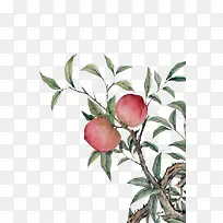 ÌÒ×ÓË®²Ê»-¿ÕÈôÍø ÌÒ×ÓË®²Ê»-¿ÕÈôÍø