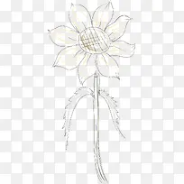 水彩画向日葵矢量图-空若网 水彩画向日葵矢量图-空若网