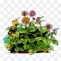 »æ»Ë®²Ê»ÏòÈÕ¿û-¿ÕÈôÍø »æ»Ë®²Ê»ÏòÈÕ¿û-¿ÕÈôÍø