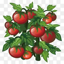 ·¬ÇÑ-¿ÕÈôÍø ·¬ÇÑ-¿ÕÈôÍø