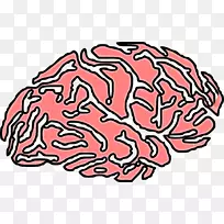 神经系统神经元神经紊乱-脑-空若网 神经系统神经元神经紊乱-脑-空若网