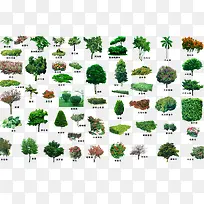 ��ľ�ϼ�-������