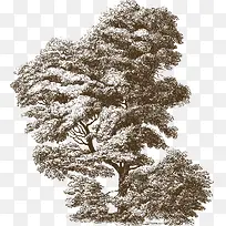 ���������-������