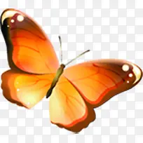 橙色守护蝴蝶欧式花纹-空若网 橙色守护蝴蝶欧式花纹-空若网