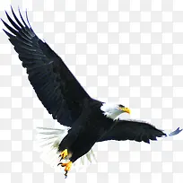 ������Ӱèͷӥչ��߷�-������