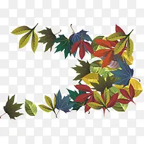 ��ʵ�������Ҷ-������