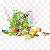 花篮小草-空若网 花篮小草-空若网