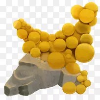 水果细菌-空若网 水果细菌-空若网