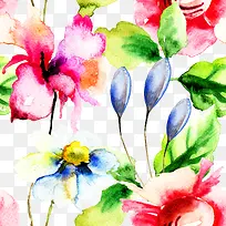 白色水彩花-空若网 白色水彩花-空若网