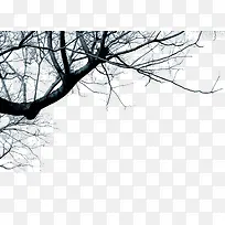 枯树枝-空若网 枯树枝-空若网
