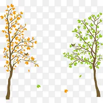 一半黄色一半绿色的树-空若网 一半黄色一半绿色的树-空若网