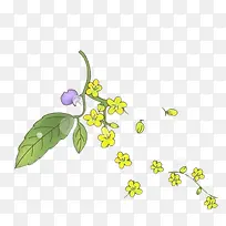 �ִ���Լ��ɫ��֦-������