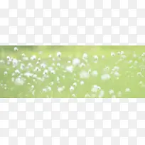 梦幻花卉背景-空若网 梦幻花卉背景-空若网