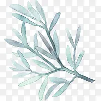 淡青色水彩树枝-空若网 淡青色水彩树枝-空若网