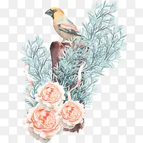 鸟和花枝-空若网 鸟和花枝-空若网