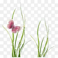 绿色植物藤条-空若网 绿色植物藤条-空若网