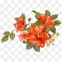 钢笔手绘花草-空若网 钢笔手绘花草-空若网