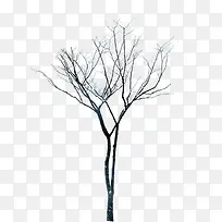 ��ɫ��������ѩ��-������