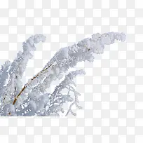 雪景-空若网 雪景-空若网