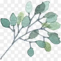 漂浮植物-空若网 漂浮植物-空若网