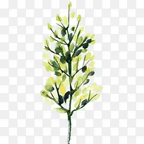 ˮ����ɫ������֦ҶƬ-������