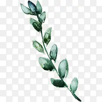 水彩复古绿色盆栽树枝叶片-空若网 水彩复古绿色盆栽树枝叶片-空若网