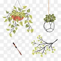 卡通植物-空若网 卡通植物-空若网