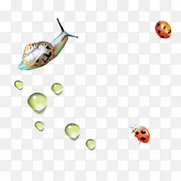 昆虫蜗牛-空若网 昆虫蜗牛-空若网