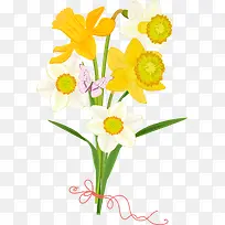 手绘水仙花矢量图-空若网 手绘水仙花矢量图-空若网