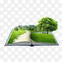 �鱾�ϵĲݵ�����-������