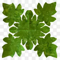 ֲ��Ҷ��-������