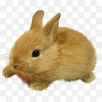 ��ͨ ����-������