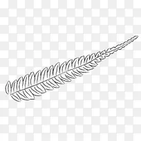 �������ѧ������������ѧ����˶ʿ-ާ��ֲ��-������