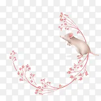 老鼠-空若网 老鼠-空若网