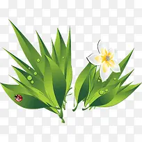 �̲ݰ�ɫС��ˮ��-������