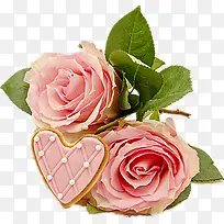 粉色的玫瑰-空若网 粉色的玫瑰-空若网