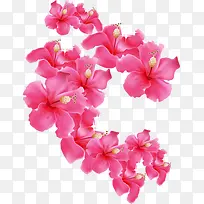 摄影服装海报花朵效果设计-空若网 摄影服装海报花朵效果设计-空若网