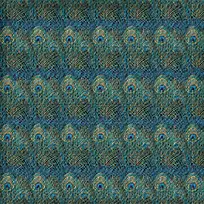 孔雀羽毛背景-空若网 孔雀羽毛背景-空若网