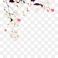 树枝-空若网 树枝-空若网