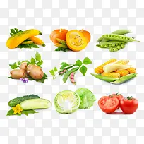 ÐÂÏʵÄÊß²Ë ÂÌÉ«Êß²Ë ÐÂÏÊ Î÷À¼-¿ÕÈôÍø ÐÂÏʵÄÊß²Ë ÂÌÉ«Êß²Ë ÐÂÏÊ Î÷À¼-¿ÕÈôÍø