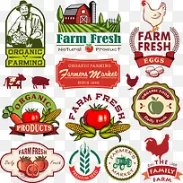 ʸ���߲��ز�-������