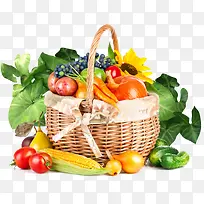 ��������߲�-������